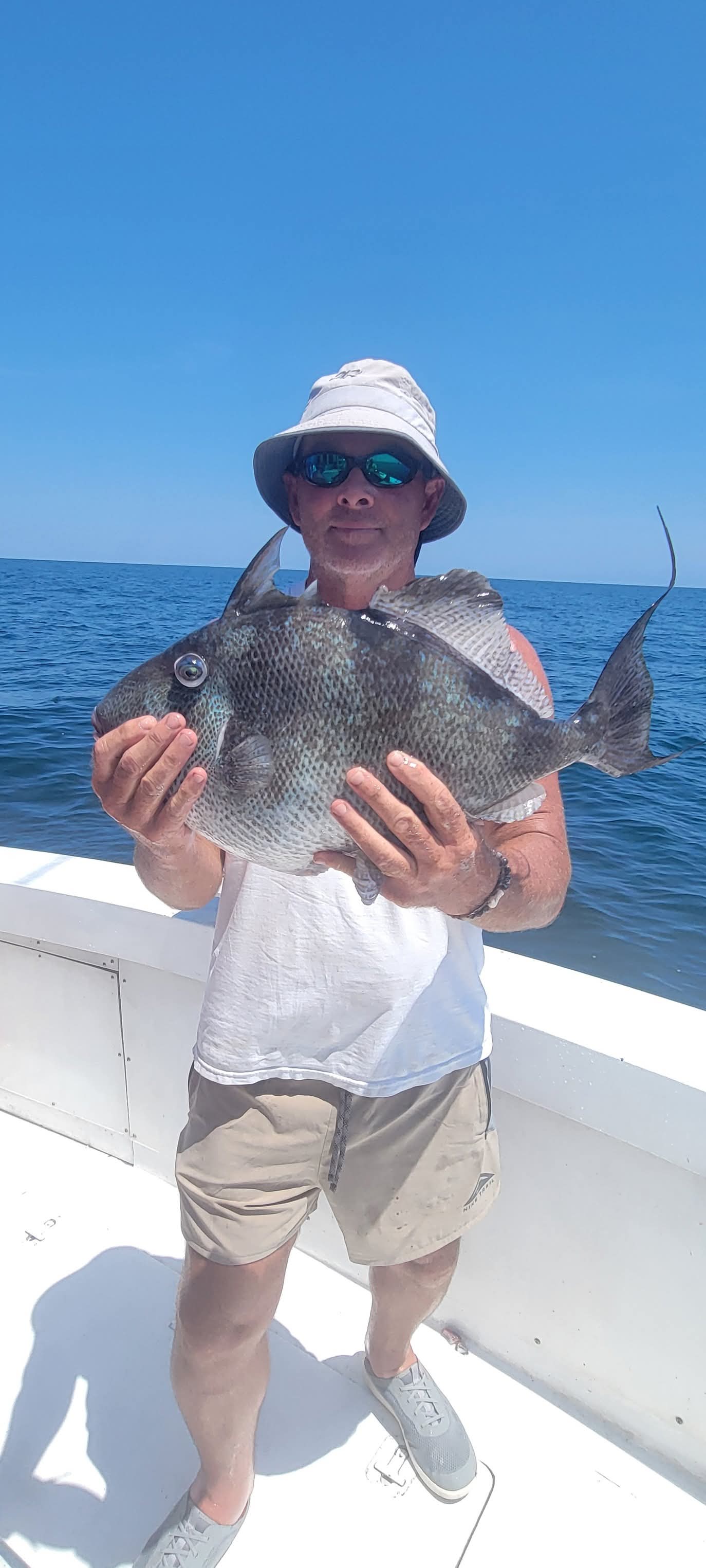 Triggerfish caught on the boat
